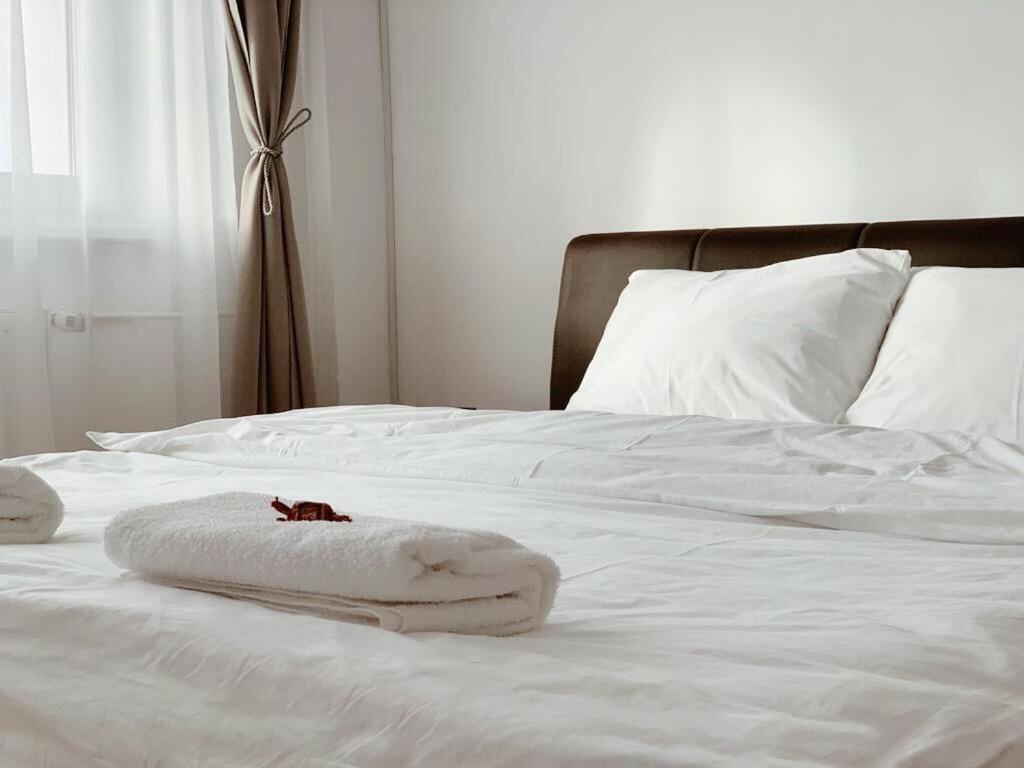 Ultracentral Apt With City Center View - Smart Tv - Ac 티미쇼아라 외부 사진